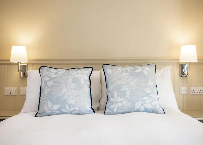 Bacchus Dom wakacyjny *